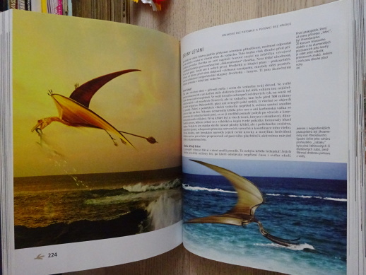 PRAVĚKÉ OBLUDÁRIUM, BOŘIVOJ ZÁRUBA, **an