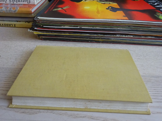 POHORSKÁ VESNICE, BOŽENA NĚMCOVÁ, **an