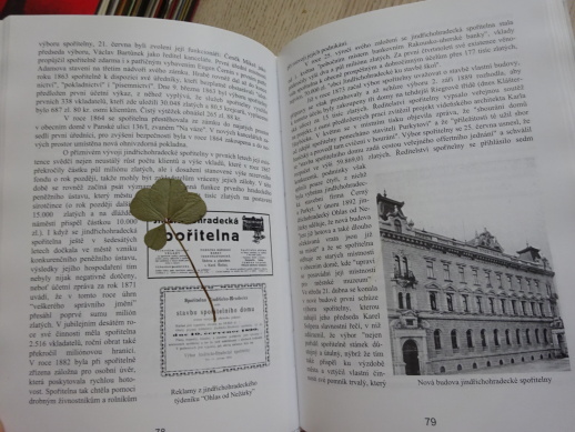 HISTORIE A SOUČASNOST PODNIKÁNÍ NA JINDŘICHOHRADECKU, JINDŘICHŮV HRADEC, **an