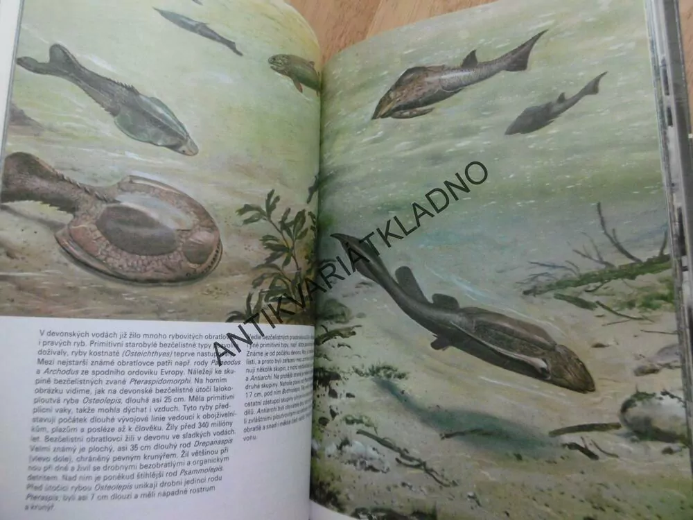 KNIHA O PRAVĚKU, ŠPINAR, ZDENĚK BURIAN, **an