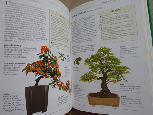 BONSAI, PRAKTICKÁ ILUSTROVANÁ PŘÍRUČKA, **an