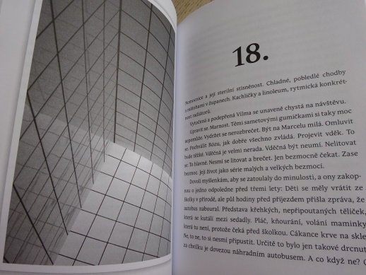 RISKANTNÍ ROZHOVOR, MILENA HOLCOVÁ, **an