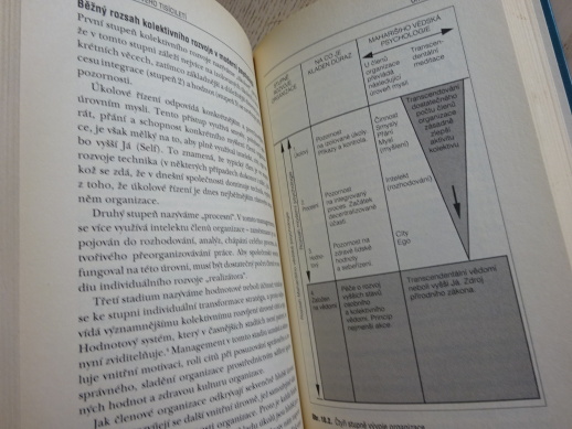 MANAGEMENT NOVÉHO TISÍCILETÍ, HARALD S. HARUND JR., **an