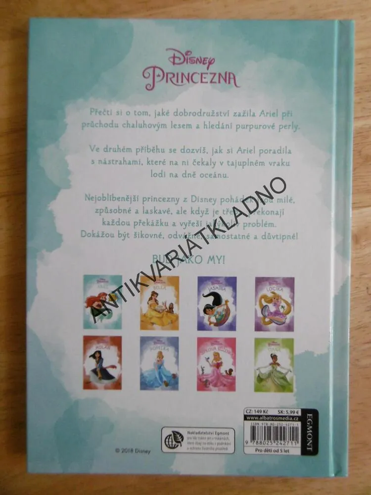 ARIEL, DISNEY PRINCEZNA
