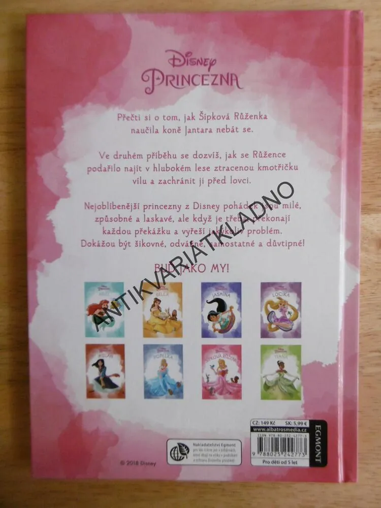 ŠÍPKOVÁ PRINCEZNA, DISNEY PRINCEZNA