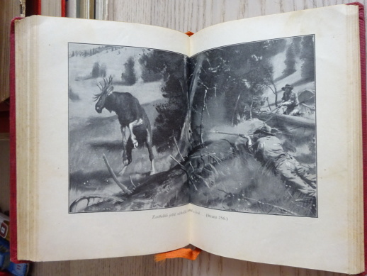 POSLEDNÍ NÁČELNÍK, JOSEPH A. ALTSHELER, 1933, **an
