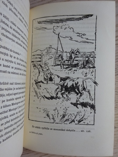 STŘÍBRNÝ PTÁK, ROSŮLEK, BURIAN, 1940, **an