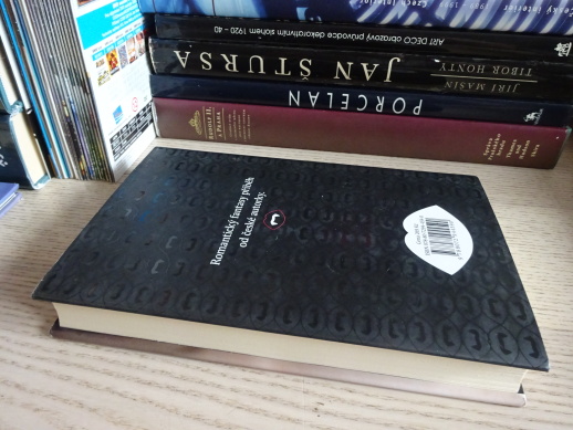 DVĚ ZRCADLA, KAROLINA LIMROVÁ, **an