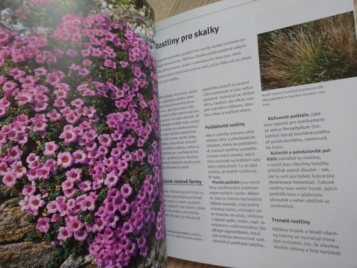 SKALKY NA ZAHRADĚ, HANS MARTIN SCHMIDT, **an