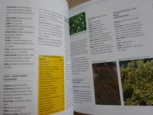 OKRASNÉ DŘEVINY NA ZAHRADĚ, ROBERT MARKLEY, **an