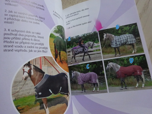 VYZNÁŠ SE VE SVĚTĚ KONÍ?, SANDY RANSFORD, **an