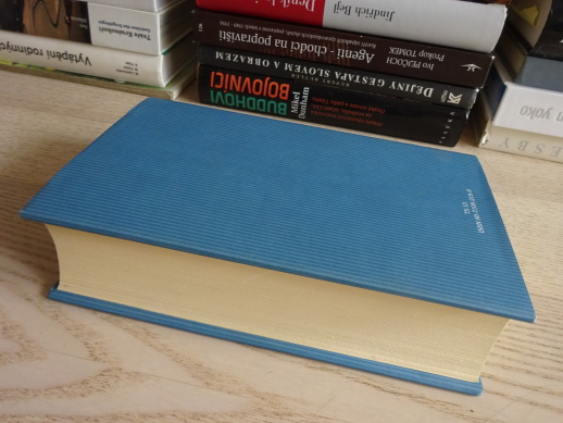 PLECHOVÝ BUBÍNEK, GÜNTER GRASS, **an