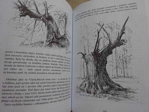 PAMÁTNÉ STROMY 2, HRUŠKOVÁ, TUREK, **an