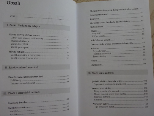 ZÁNĚT, SKRYTÝ ZABIJÁK, DAVID FREJ, **an