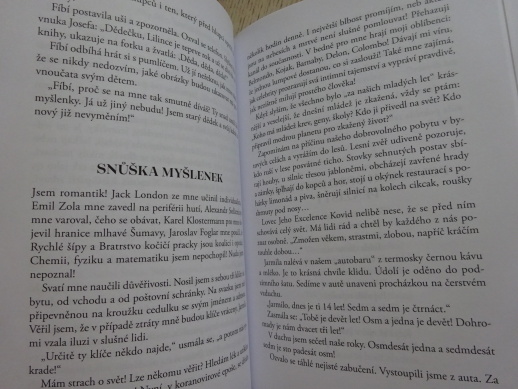 SLEČNA NA ZÁMKU KOZEL, JOSEF FOUSEK, **an