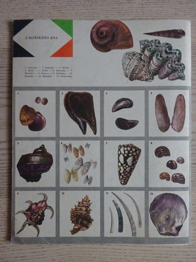 KARAVANA - HADÍ OSTROV, A. V. FRIČ, **an