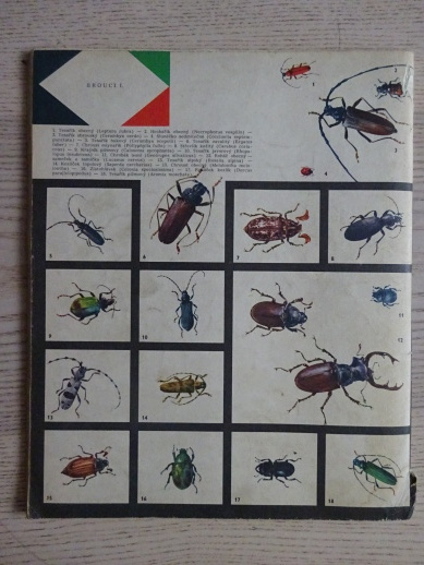 KARAVANA - DLOUHÝ LOVEC, A. V. FRIČ, **an