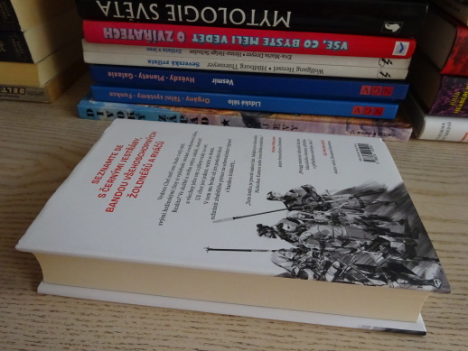 ČERNÍ JESTŘÁBI, DAVID WRAGG, **an