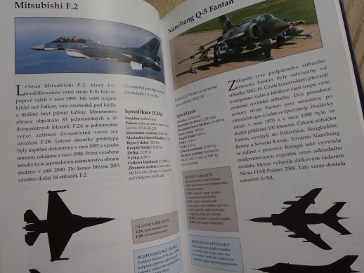 LETECKÝ PRŮVODCE, ROBERT JACKSON, **an