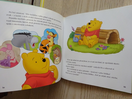 PROČ VĚCI NEPADAJÍ NAHORU, MEDVÍDEK PÚ, WALT DISNEY, **an