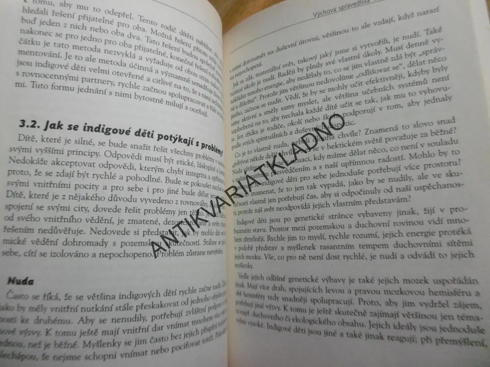 DĚTI NOVÉ DOBY, FENOMÉN INDIGOVÉ BARVY, HEHENKAMP