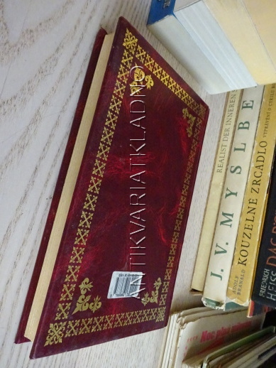 SNÁŘ, **an