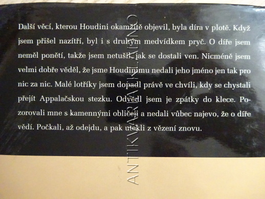 MEZI MEDVĚDY, BENJAMIN KILHAM, ED GRAY, **an