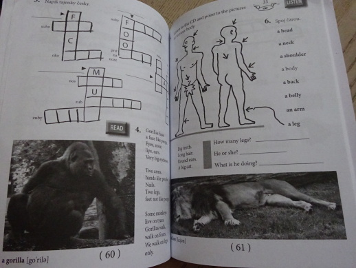 PURPLE ENGLISH, PRACOVNÍ SEŠIT PRO 7. TŘÍDU