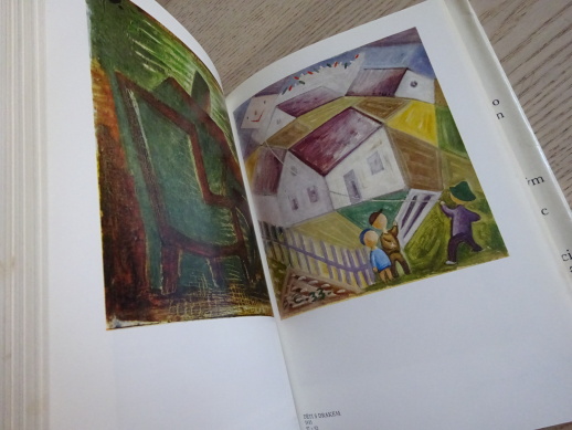 PŘÍBĚH STARŠÍHO BRATRA, ILONA BORSKÁ, **an