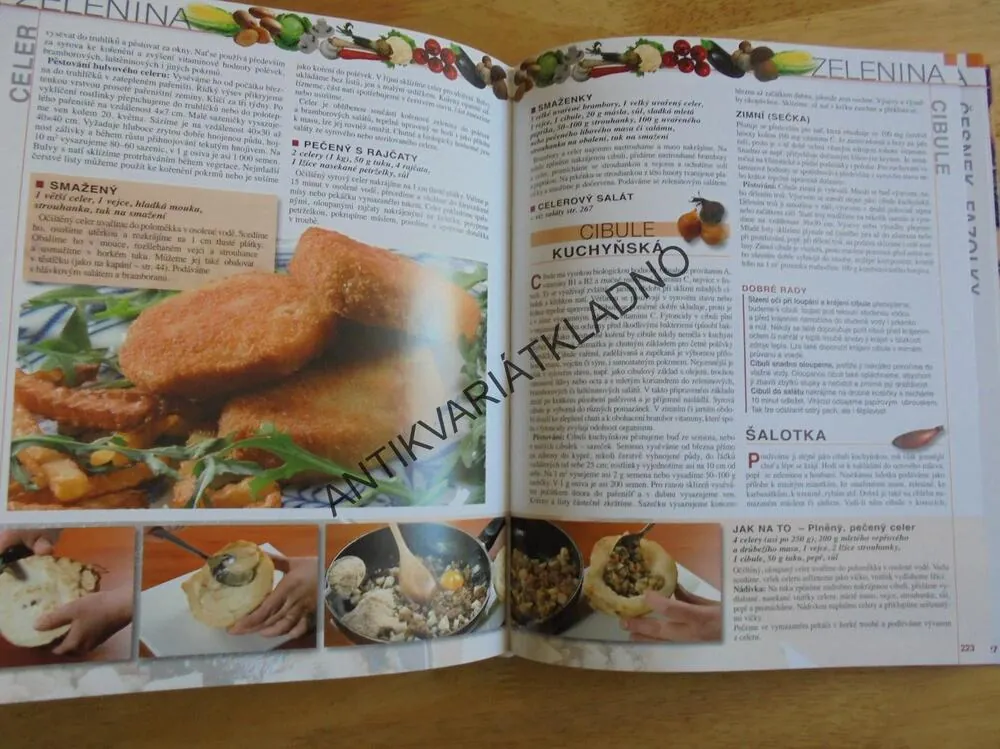 OTTOVA KUCHAŘKA NAŠÍ VESNICE, RECEPTY, VAŘENÍ, **an
