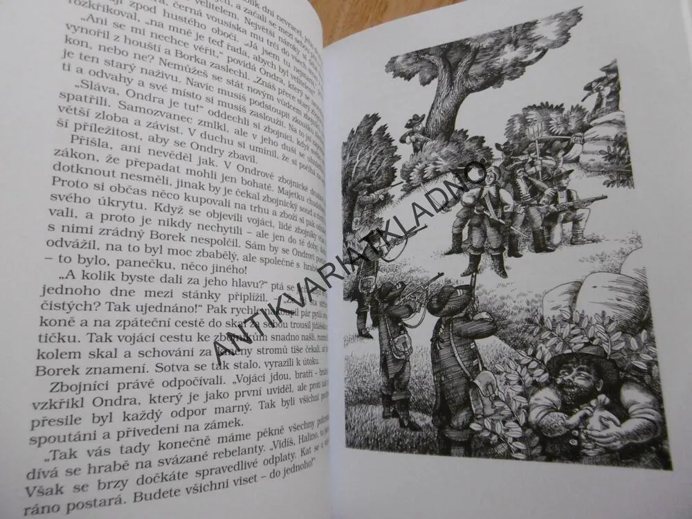 ZBOJNÍK A HALINA, JINDŘICH FRANTIŠEK BOBÁK, **an
