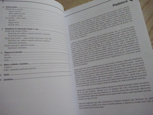 KARATE, CESTA K PRVNÍMU DANU, KAREL STRNAD, **an