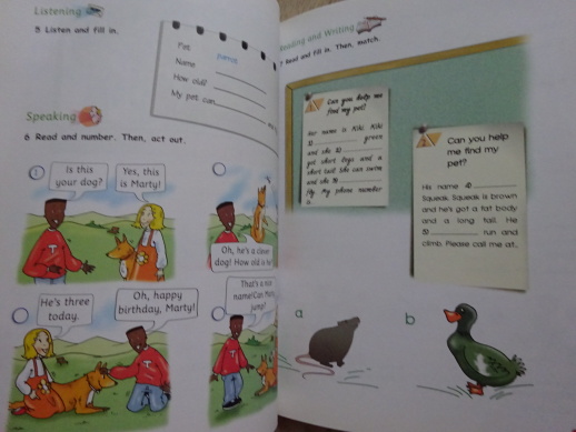 SAIL AWAY!, ACTIVITY BOOK, ANGLICKY, **an