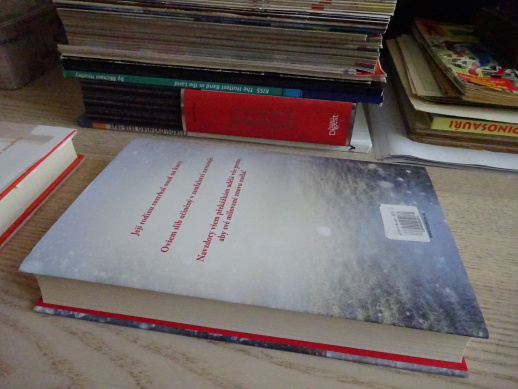 ZIMNÍ SLIB, ROSIE GOODWINOVÁ, **an