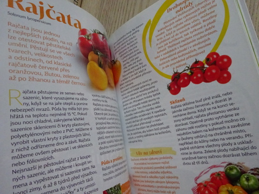 LEVNÁ A ZDRAVÁ ZELENINA, **an