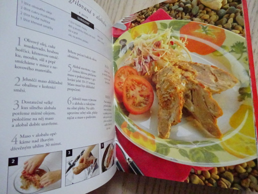 GRILOVÁNÍ A SALÁTY NA LÉTO, ŠPALÍČEK RECEPTŮ, **an
