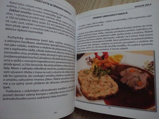 NEJLEPŠÍ RECETY Z TELEVIZE, JIŘÍ BABICA, DAN KOPÁL, **an