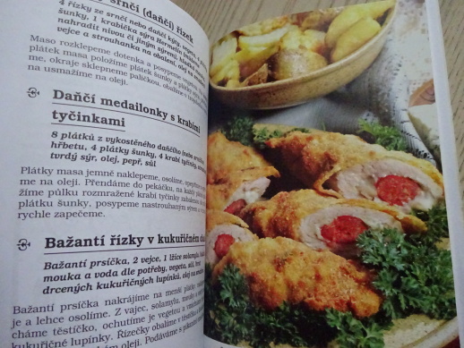 BIFTEKY, ŘÍZKY A DALŠÍ VÝBORNÁ MASÍČKA, ALENA DOLEŽALOVÁ, **an