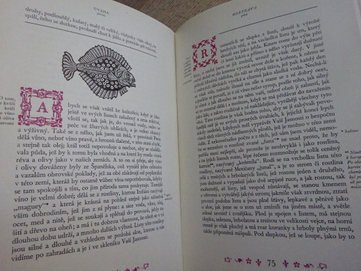CESTA KOLEM SVĚTA, FRANCESCO CARLETTI, **an