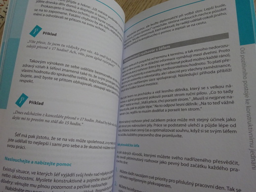 JAK SEBEVĚDOMĚ JEDNAT S ŠÉFEM, ALENA SARHOLZ, **an