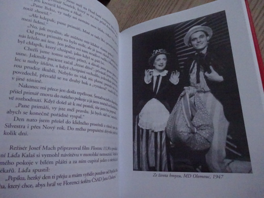 KAŽDÝ DEN RADOST, JOSEF BEK, PETR HOŘEC, **an