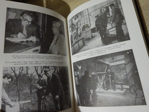 NEPRAVDĚPODOBNÉ PŘÍBĚHY ANEB JAK JSEM DĚLAL LITERATURU FAKTU, MIROSLAV IVANOV, **an
