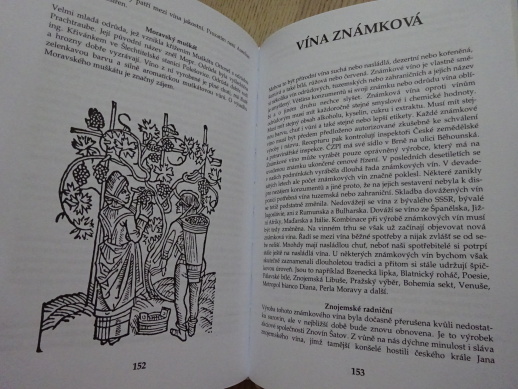 ZROZENÍ VÍNA, JAROSLAV PÁTEK, **an