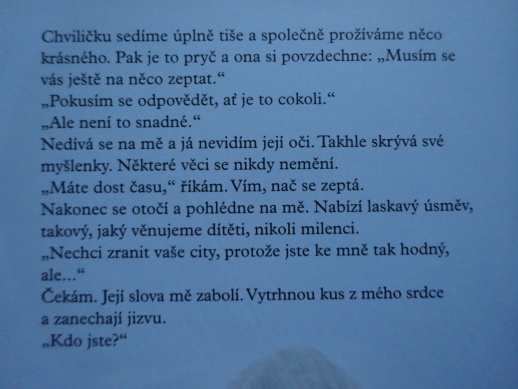 ZÁPISNÍK JEDNÉ LÁSKY, NICHOLAS SPARKS, **an
