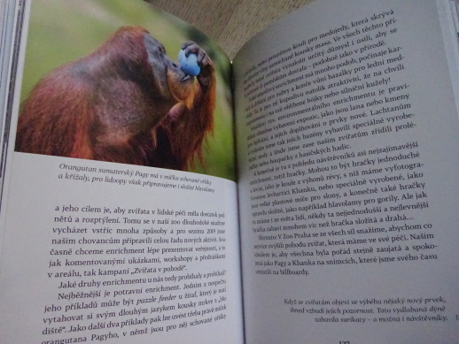 SUPI V HOTELU CONTINENTAL A DALŠÍ ZÁPISKY ŘEDITELE ZOO, MIROSLAV BOBEK, **an