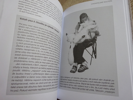 VYSTAVOVÁNÍ JE HRA, MICHAELA ČERMÁKOVÁ, FRANTIŠEK ŠUSTA, **an