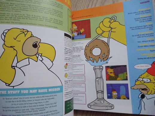 THE SIMPSONS, A COMPLETE GUIDE, ANGLICKY, **an