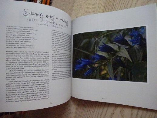 DUŠE ROSTLIN, WOLF-DIETER STORL, **an