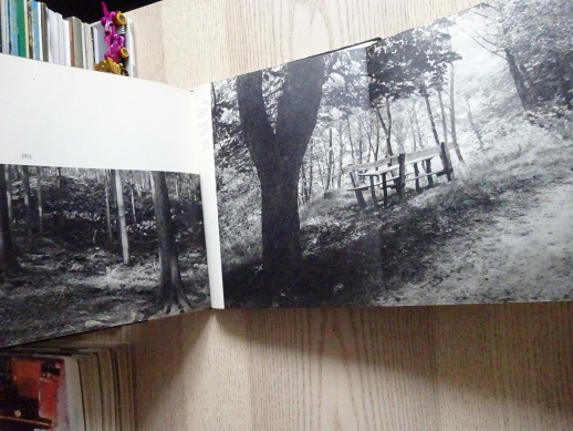 JANÁČEK - HUKVALDY, JOSEF SUDEK, **an