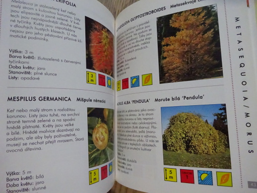 STROMY, OBRAZOVÝ PRŮVODCE 22, **an